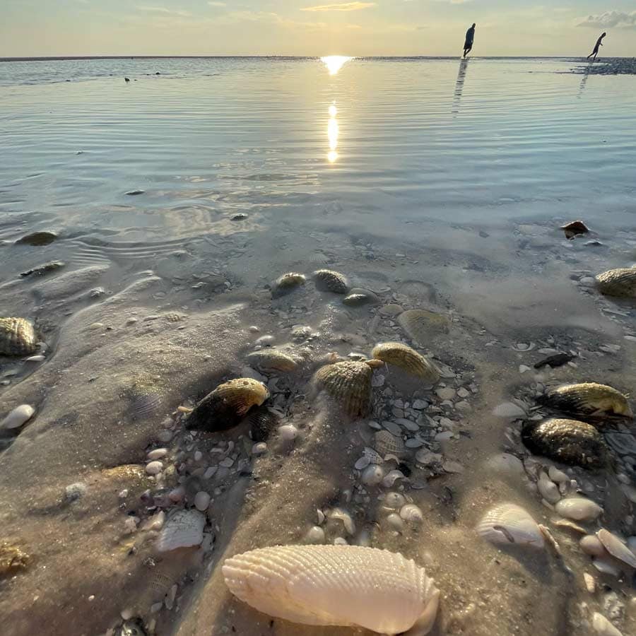 Boca Grande Island Tours